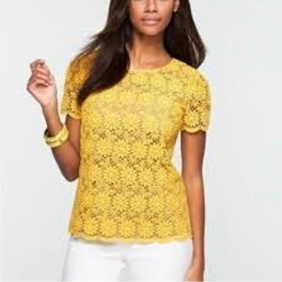 Talbots Yellow daisy lace overlay top. Springtime Sz L Easter business office - Picture 2 of 9